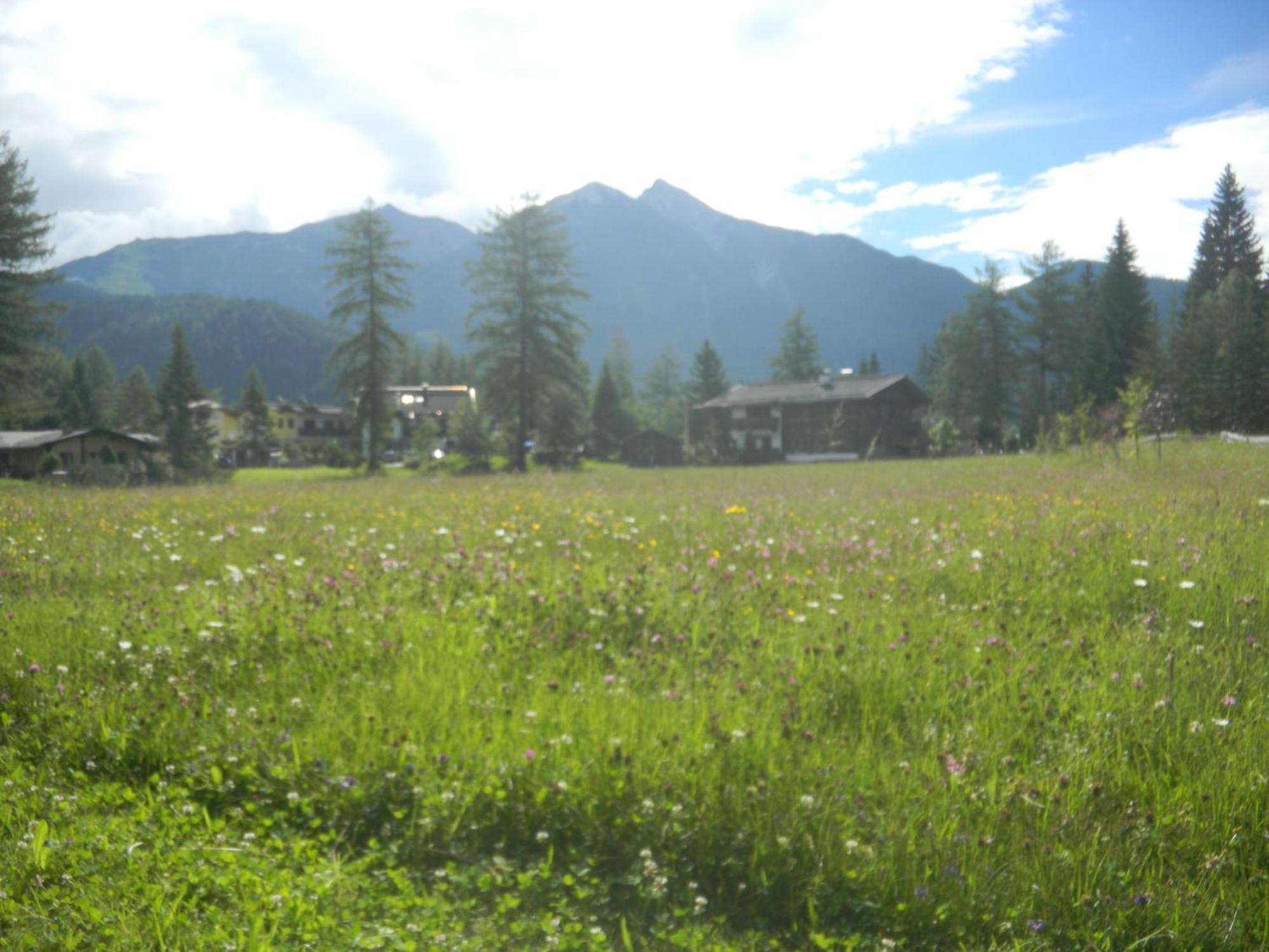 Landhaus Charlotte Am Geigenbuehel -Apartments Seefeld no Tirol Exterior foto